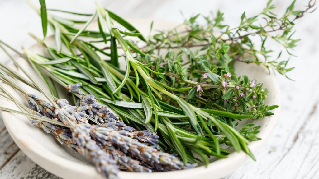 A garden full of fragrance and flavour: 10 herbs that are worth it
