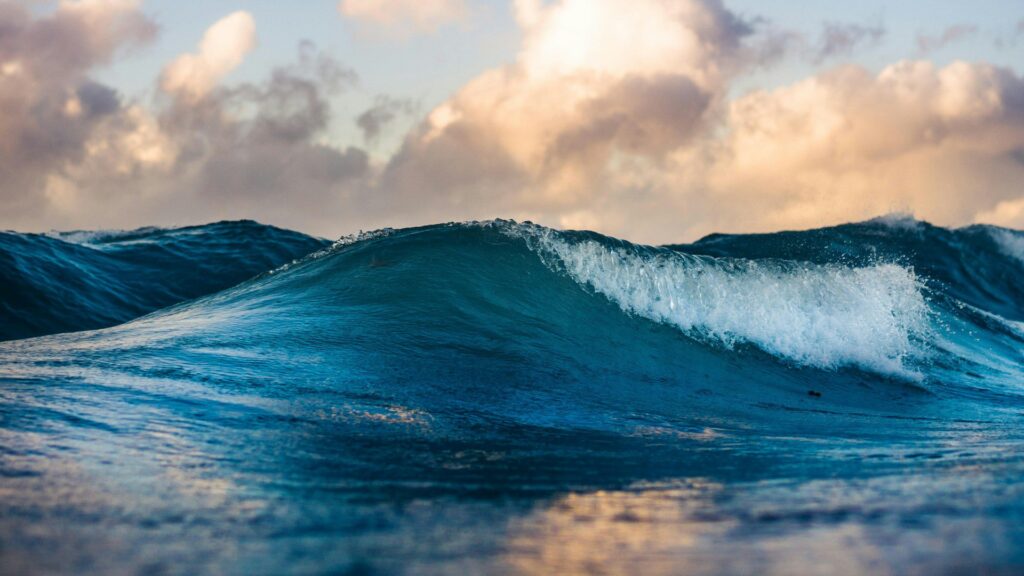 We have already discovered many of them. Yet the ocean holds 95% of the secrets