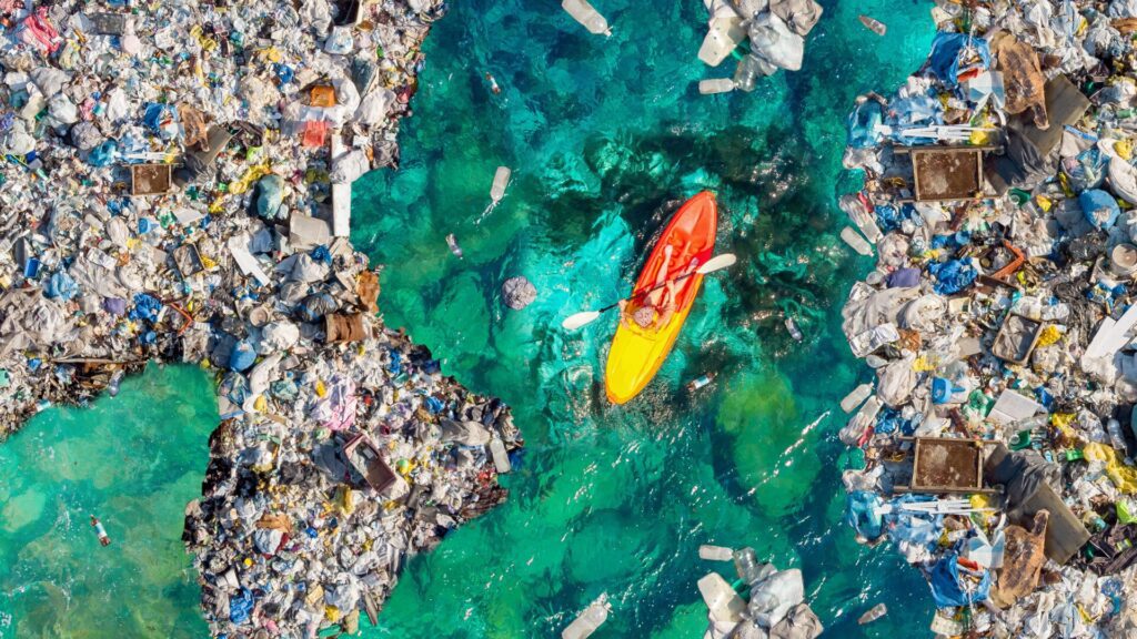 A new continent? The Pacific Ocean hides something that shouldn't be there at all.