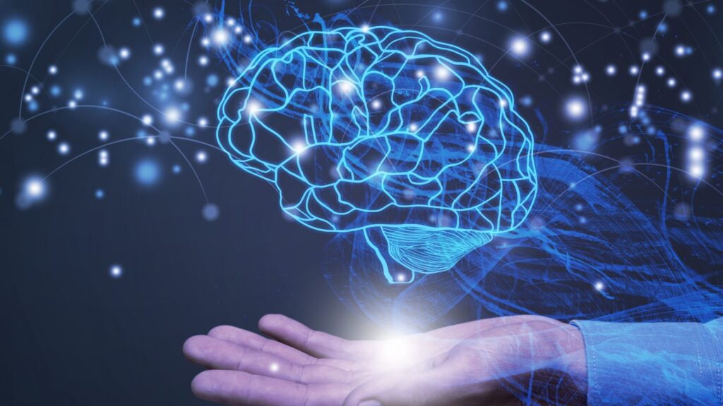Fascinating brainpower: It can handle 11 million pieces of information per second