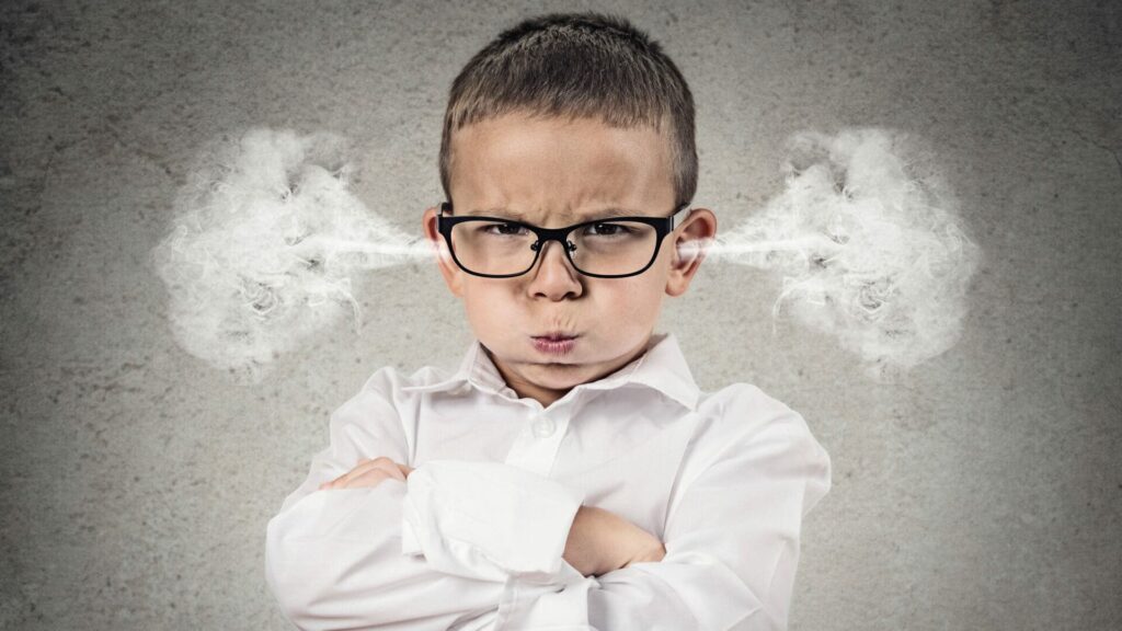 Stop children's outbursts: a parenting manual that works!
