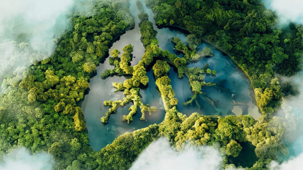 The planet's lungs at risk
