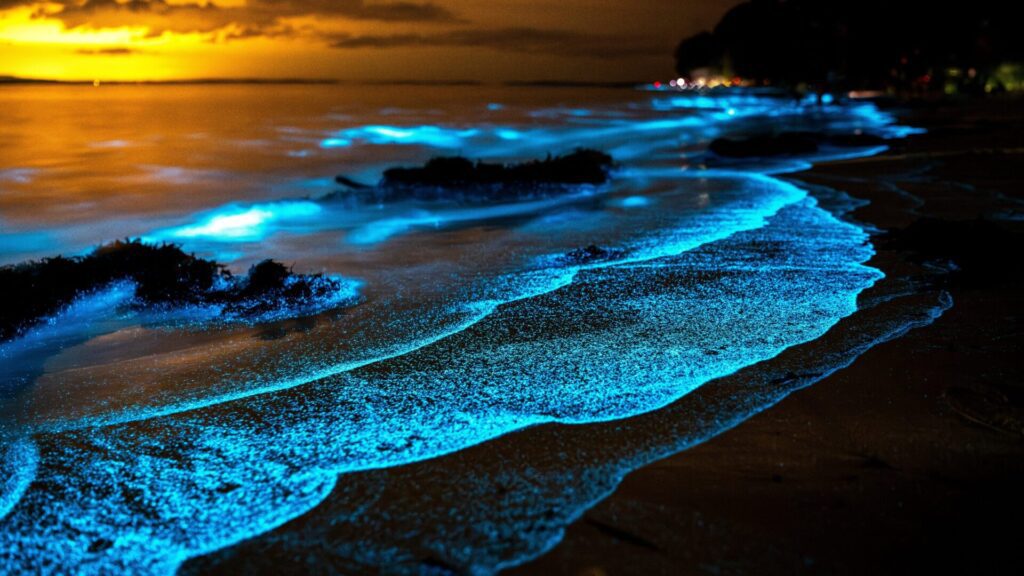 An incredible phenomenon in the Maldives: beaches that shine like stars at night