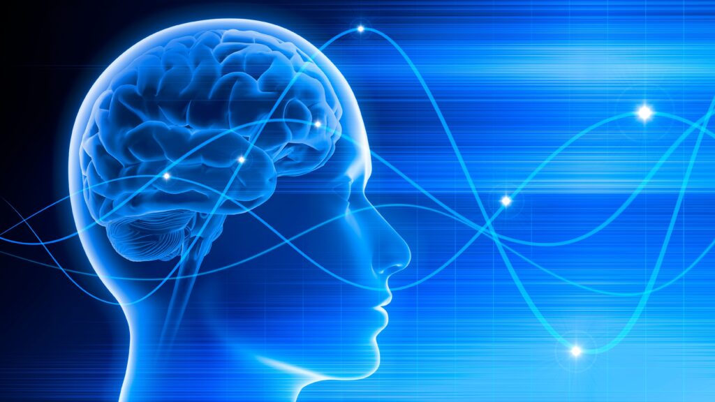 Napping during the day will promote healthy brain function.
