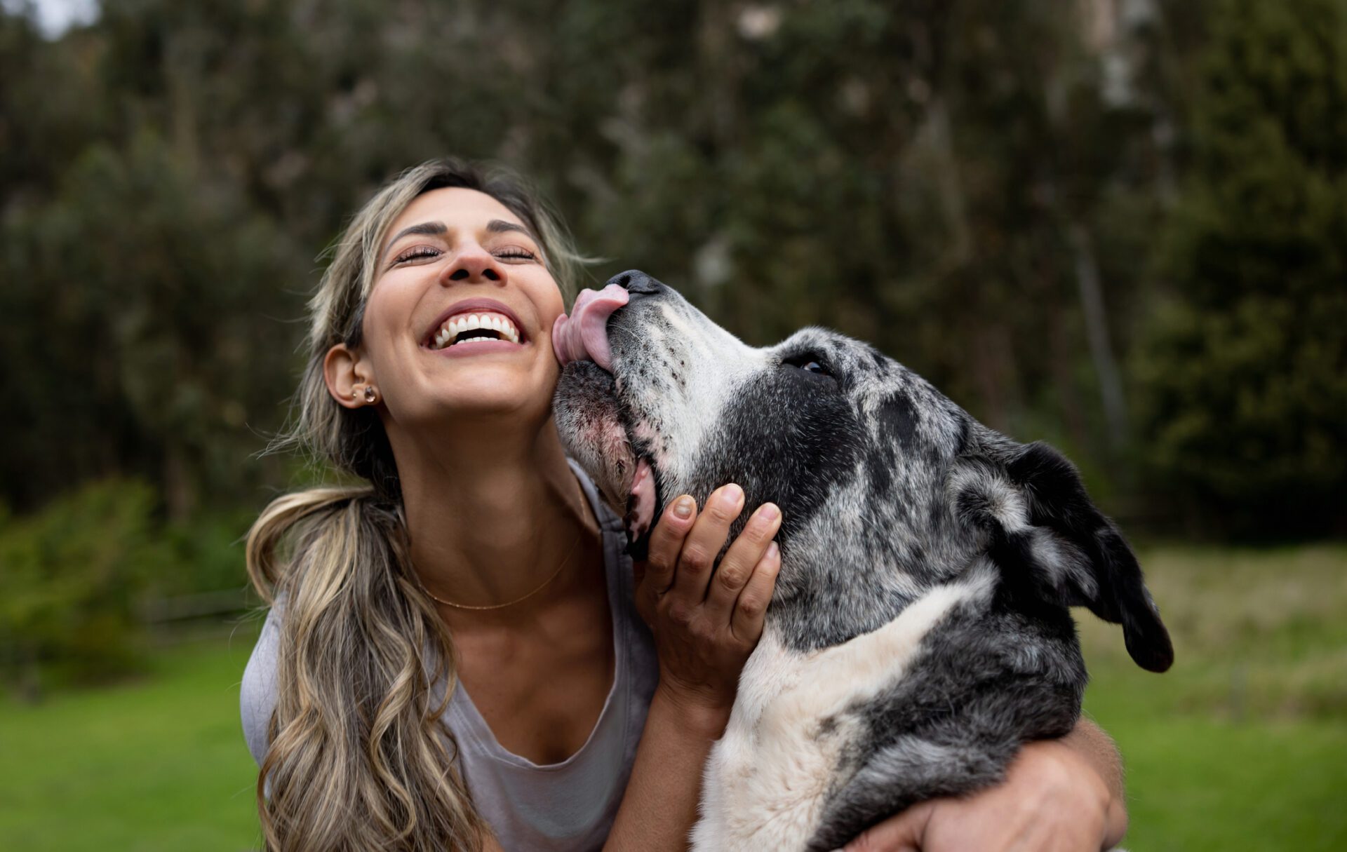 Licking the face is a very common gesture that dogs show us. They are communicating with us, but they are also gathering information.