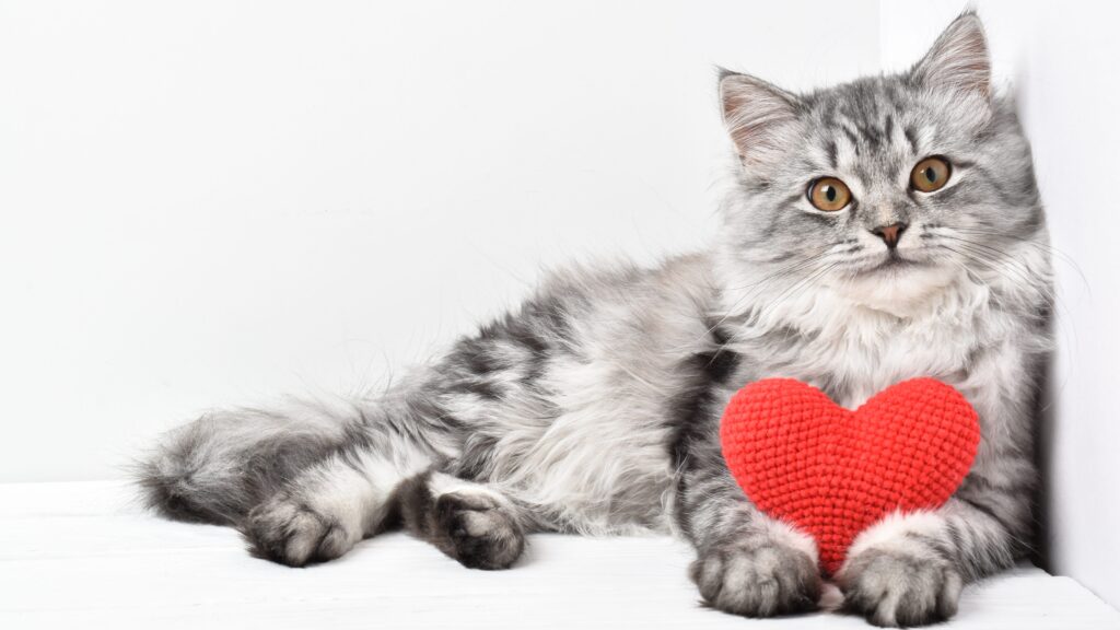 You can't buy love with pellets: 9 ways to gain true trust
