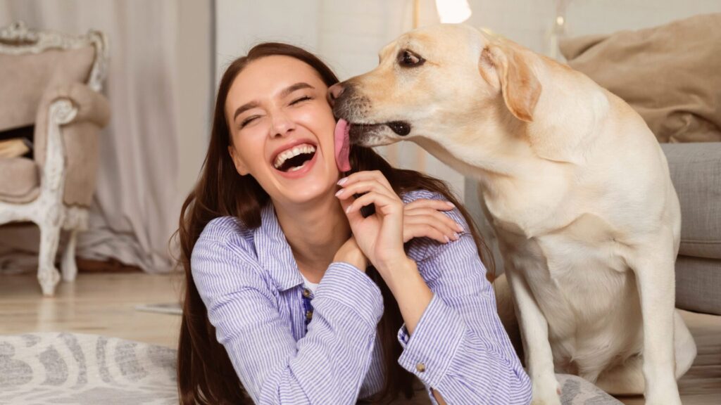 Every dog owner has sometimes encountered the fact that his four-legged pet licked him. But why do animals do it?