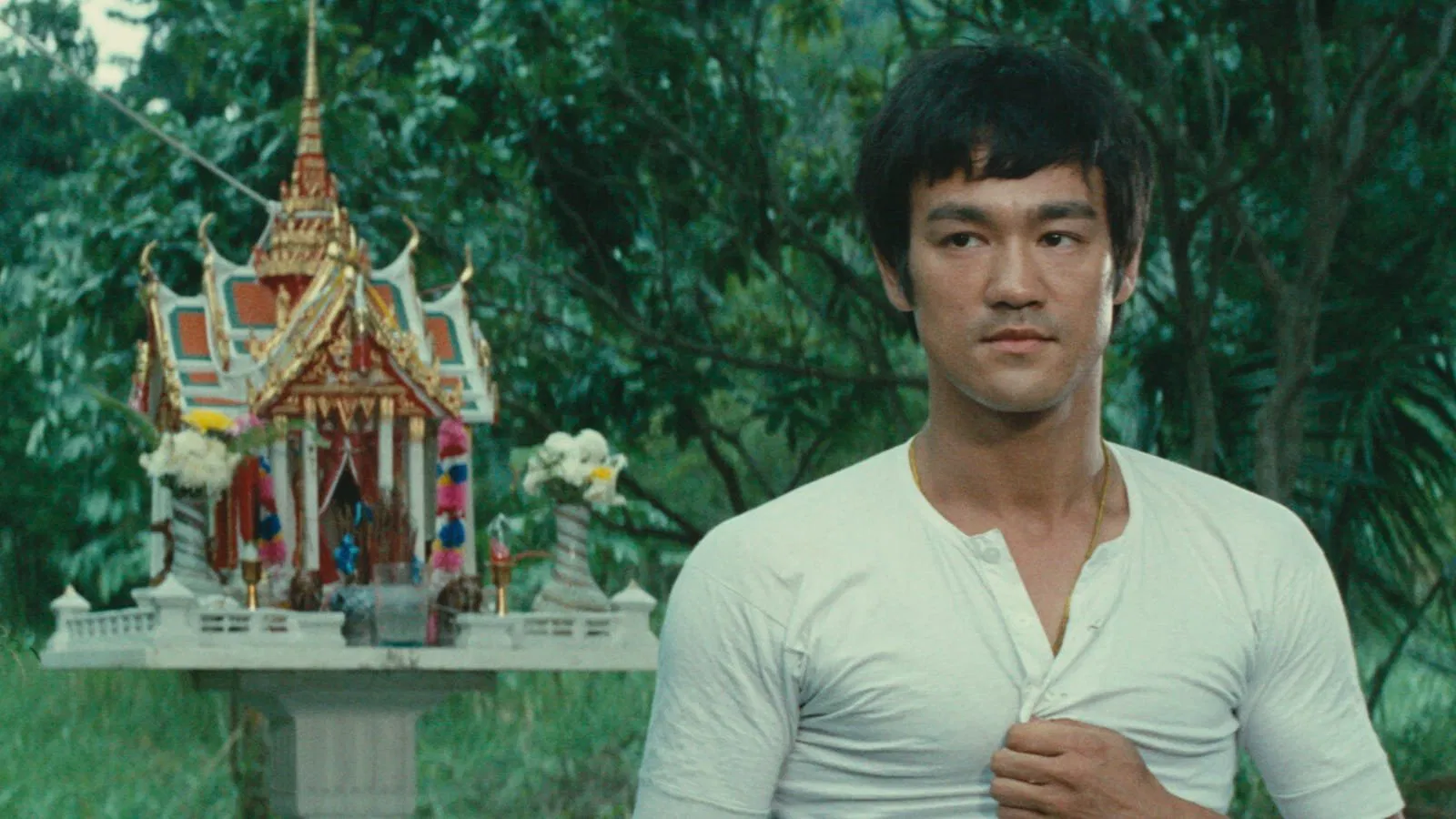 Although Bruce Lee died very early, he managed to make his mark on the minds of people all over the world.