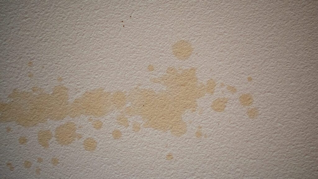 Grease stains on the wall disappear before you can make coffee