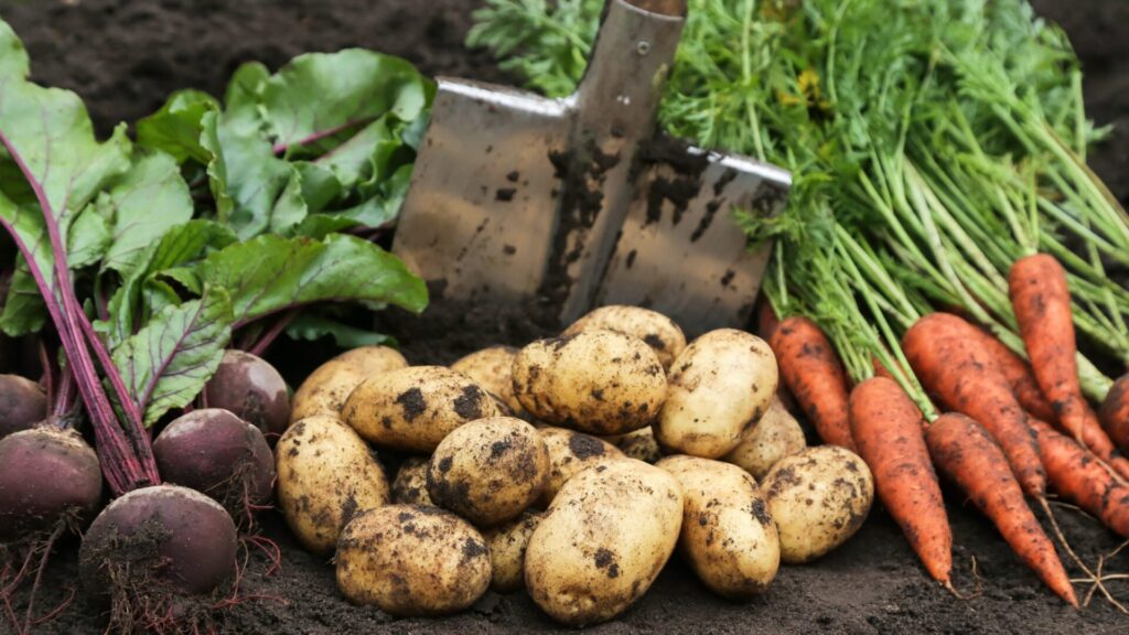 Some foods are more dangerous to you without washing than expired meat: And you eat them every day
