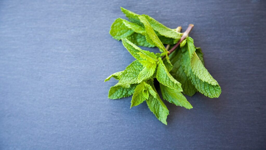 Thousands of years old herbs to get rid of clogged blood vessels without chemistry