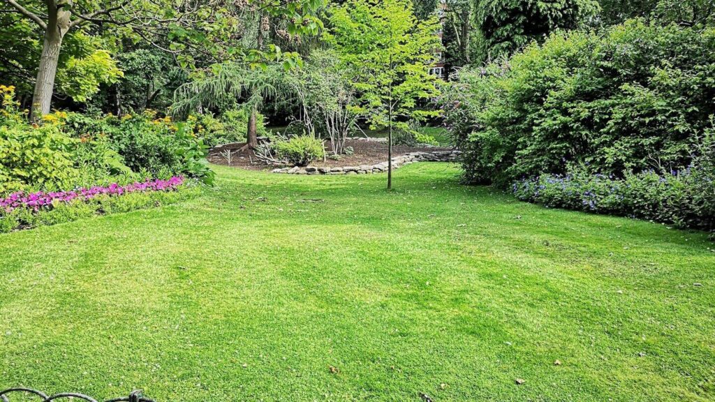 Fertilising the lawn: When and how often it should be done, the season is also important