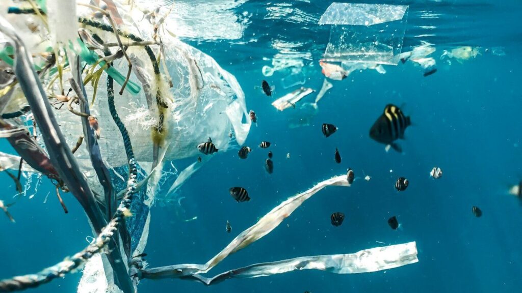 Study just confirmed: dangerous microplastic particles found in prostate tumours