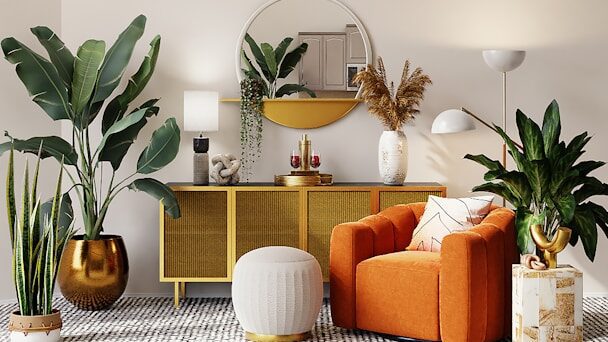 Houseplants weaken in winter: Dust on the leaves plays a role