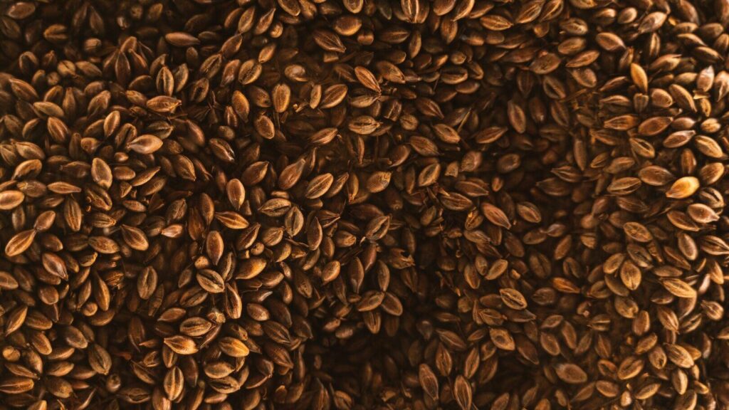 Benefits of daily consumption of flaxseed: A natural superfood that supports heart, gut and skin health