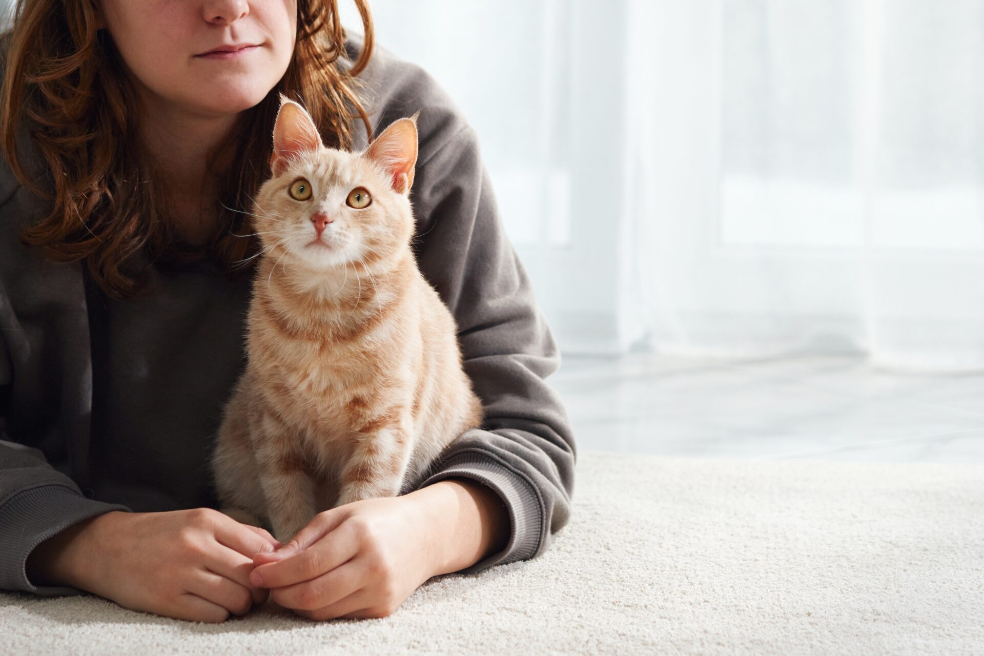 Cats are very perceptive and are able to recognize situations before humans.